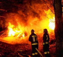 Brand im Wald