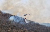 Waldbrand unter Kontrolle