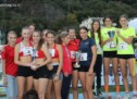 Der Ladurner Grand Prix