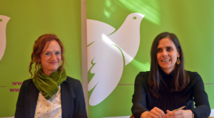 Die grüne Bilanz