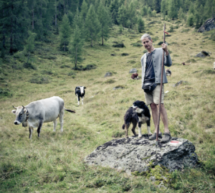 „Machbare Lösungen“