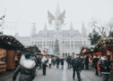 Fichte für Wien