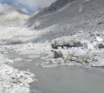Gletscherschwund & Artenvielfalt