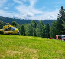 Verletzter bei Waldarbeiten