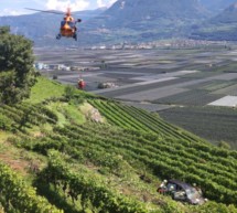 Auto stürzt in Weinberg