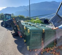 Äpfel auf der Straße