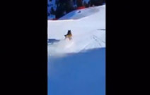 Skifahrer jagt Wolf