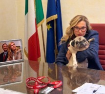 Puggy im Senat
