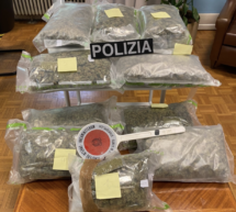 Der Marihuana-Kurier