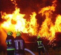Brand im Biotop