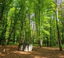 „Der Druck steigt“ 