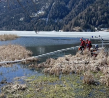 Öl im Haider See
