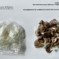 Heroin im Gebüsch