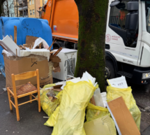 Die Müllsünder
