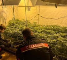 Das Marihuana-Wohnzimmer