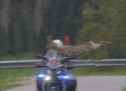 Das war knapp!