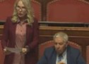 Die Partisanin Unterberger