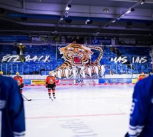 Tiger kommen nach Latsch 