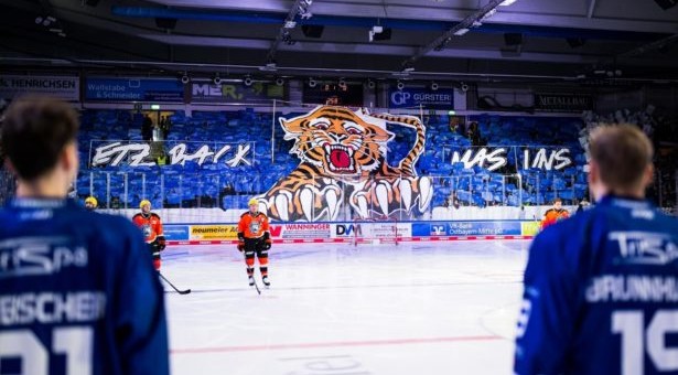 Tiger kommen nach Latsch Tiger kommen nach Latsch