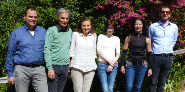 Der neue Vorstand Der neue Vorstand