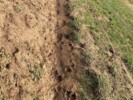 Bedrohter Steig