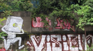 Urban Credibility