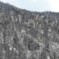 Nach dem Waldbrand
